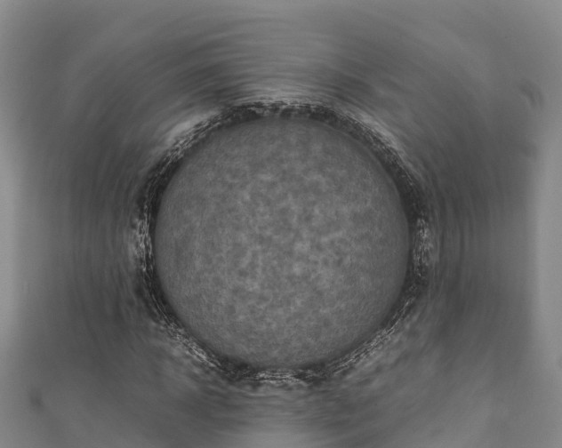 X0000111600918200907231232