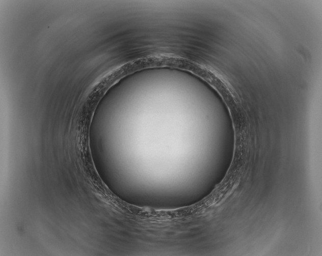 X0000111600919200907231232