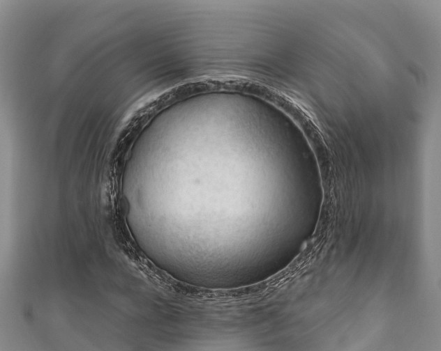 X0000111600920200907231232