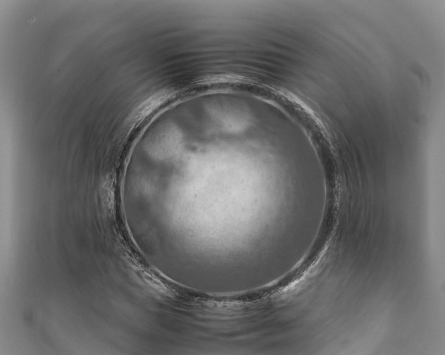 X0000111600921200907231232