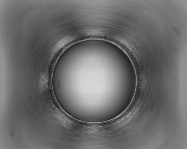 X0000111600922200907231232