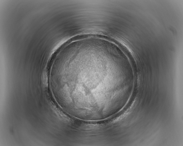 X0000111600925200907231232