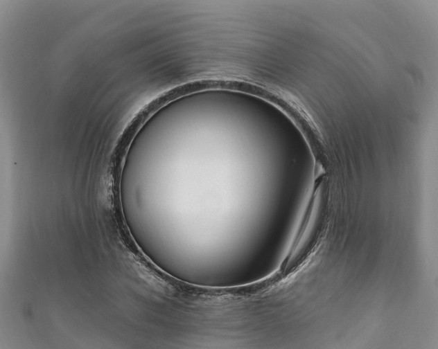 X0000111600926200907231233