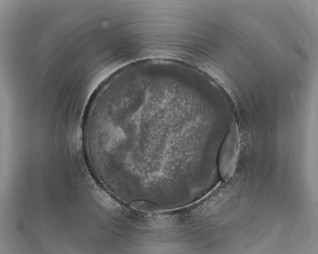 X0000111600928200907231233