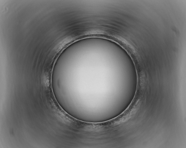 X0000111600929200907231233