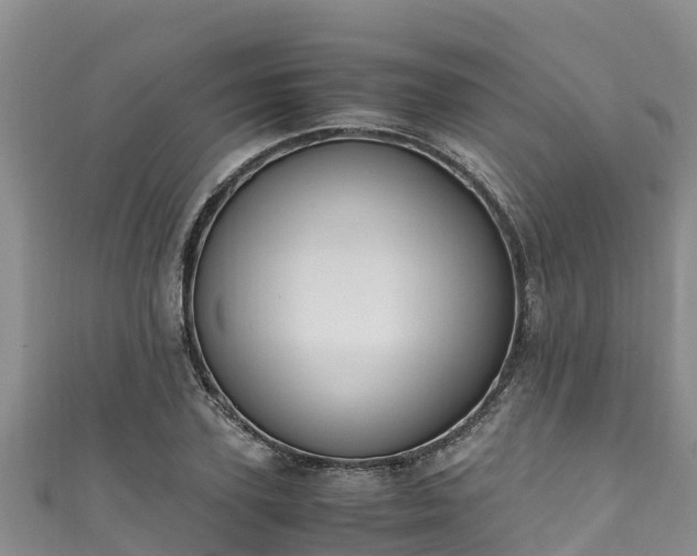X0000111600931200907231233