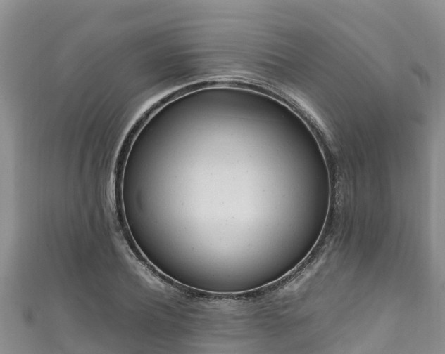 X0000111600932200907231233