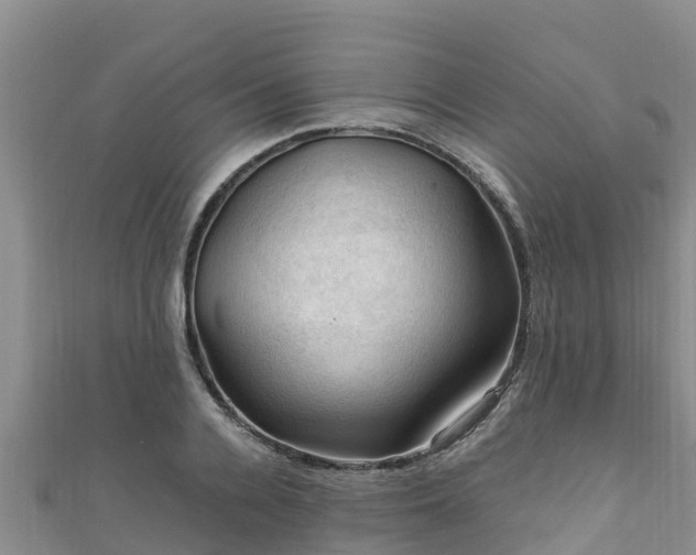 X0000111600936200907231233
