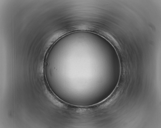 X0000111600938200907231233