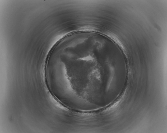 X0000111600941200907231233