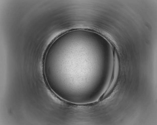 X0000111600942200907231233