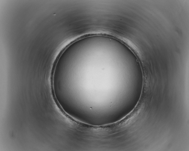 X0000111600943200907231233