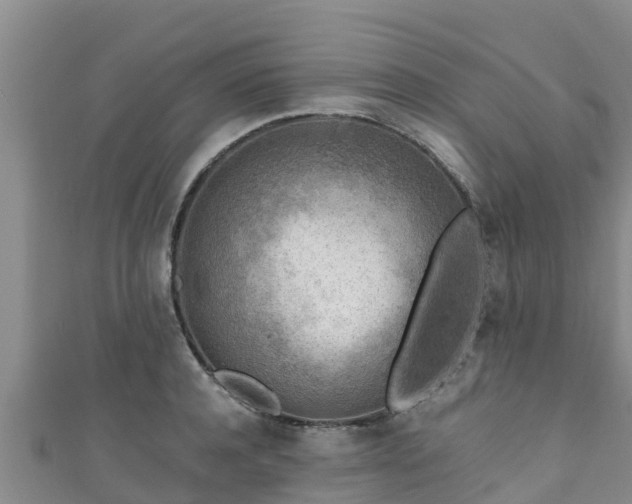 X0000111600944200907231233