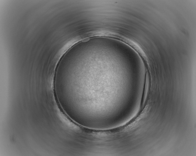 X0000111600946200907231233