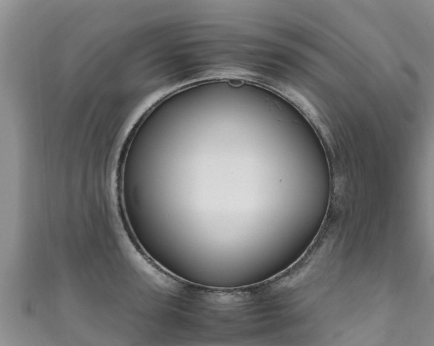 X0000111600947200907231233