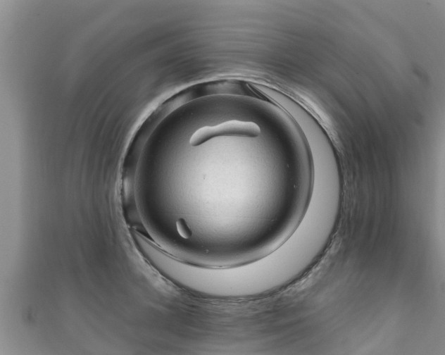 X0000111600948200907231233