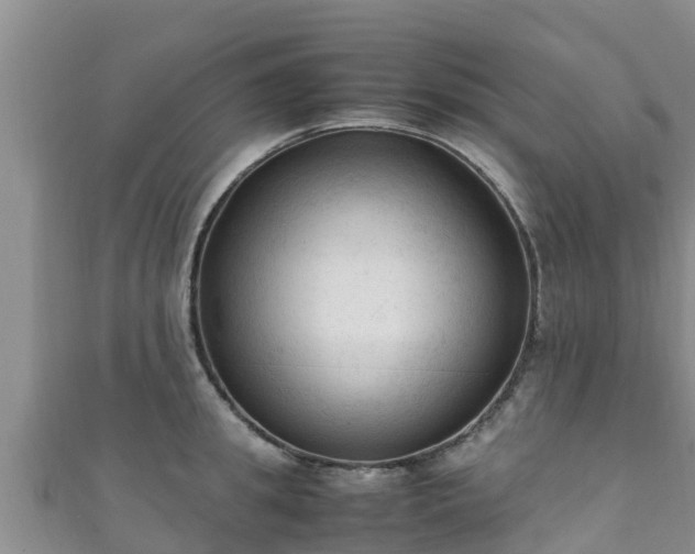 X0000111600949200907231233
