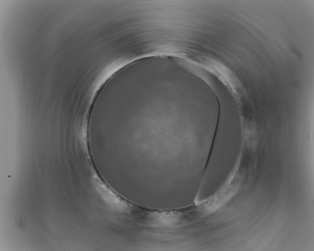 X0000111600952200907231233
