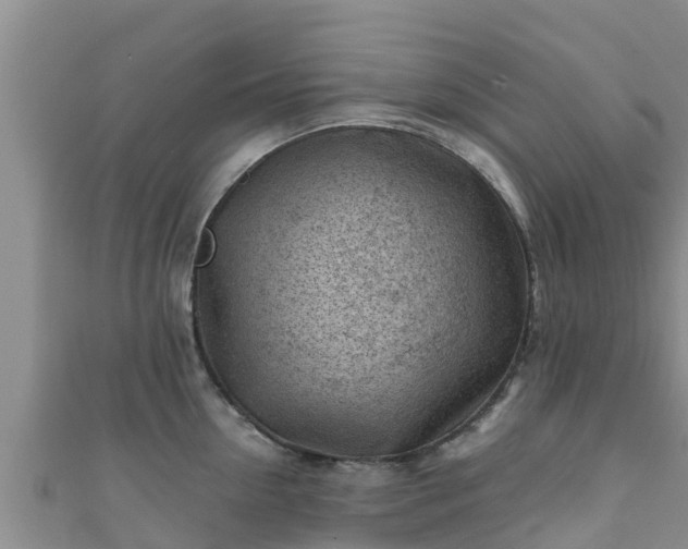 X0000111600954200907231233
