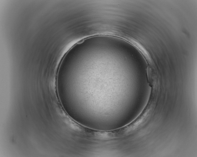 X0000111600956200907231233