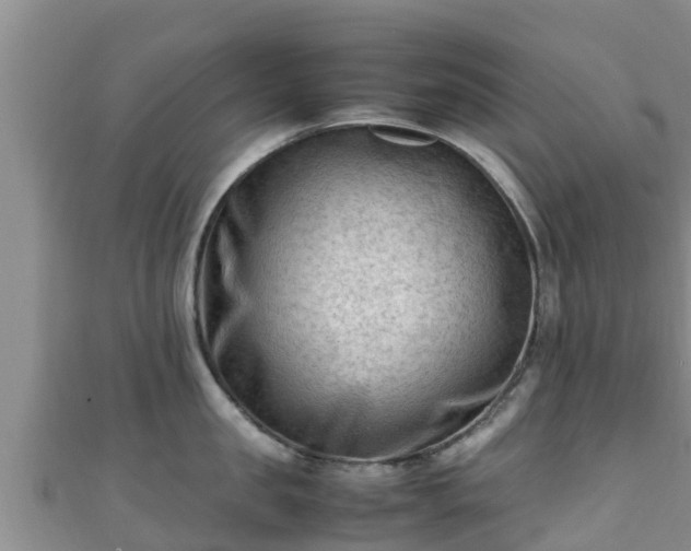X0000111600957200907231233
