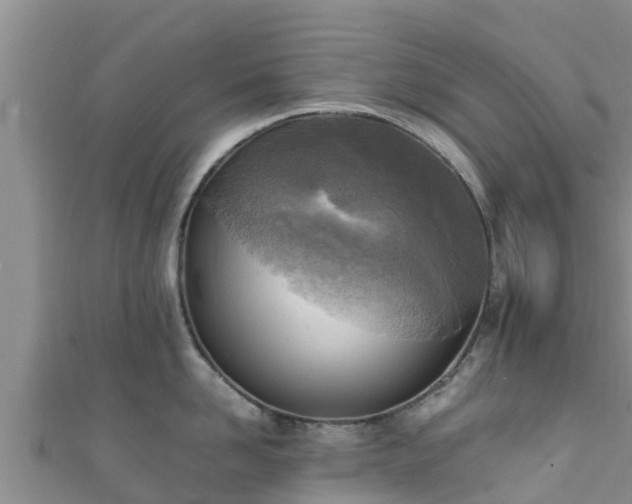 X0000111600958200907231233