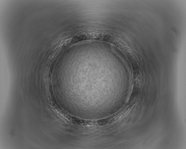 X0000111600961200907231232
