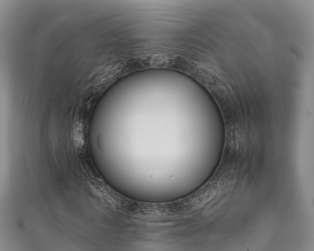 X0000111600962200907231232