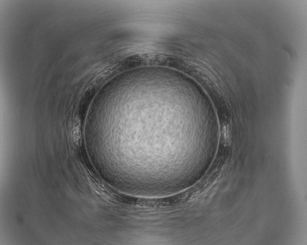 X0000111600963200907231232