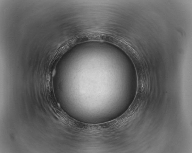 X0000111600964200907231232
