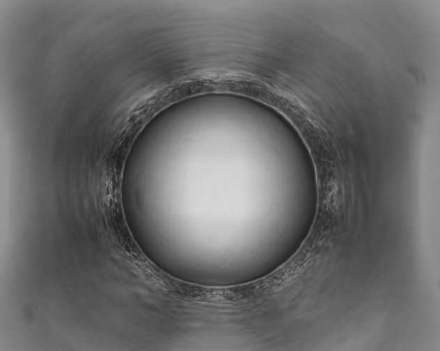 X0000111600966200907231232