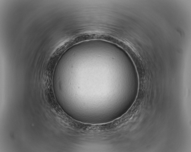 X0000111600967200907231232