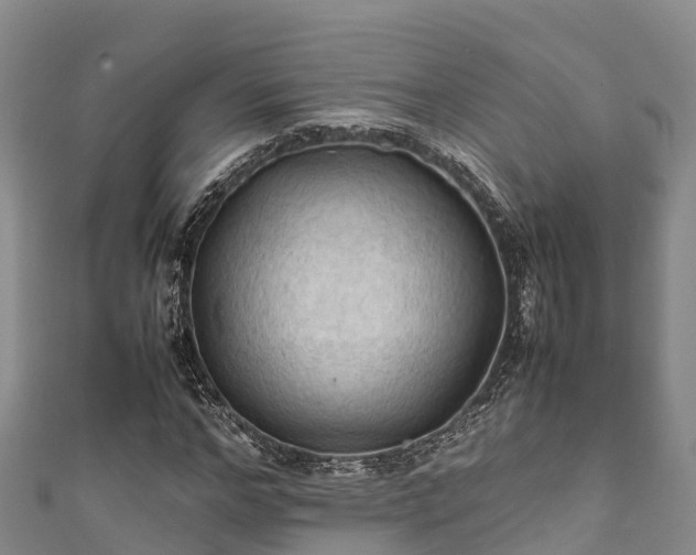 X0000111600968200907231232