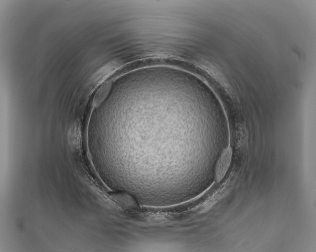 X0000111600969200907231232