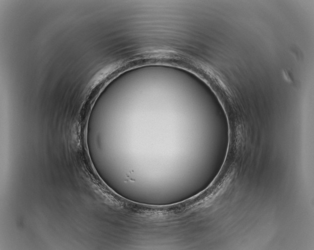 X0000111600970200907231232
