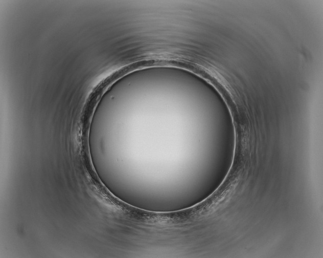 X0000111600971200907231232