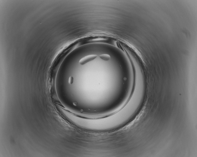 X0000111600973200907231232