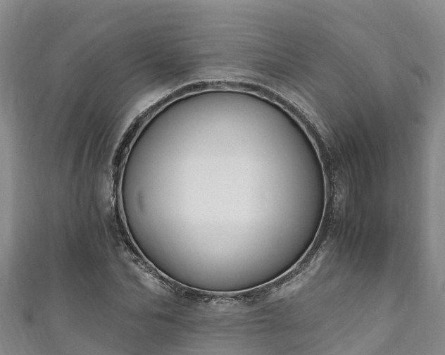 X0000111600974200907231232