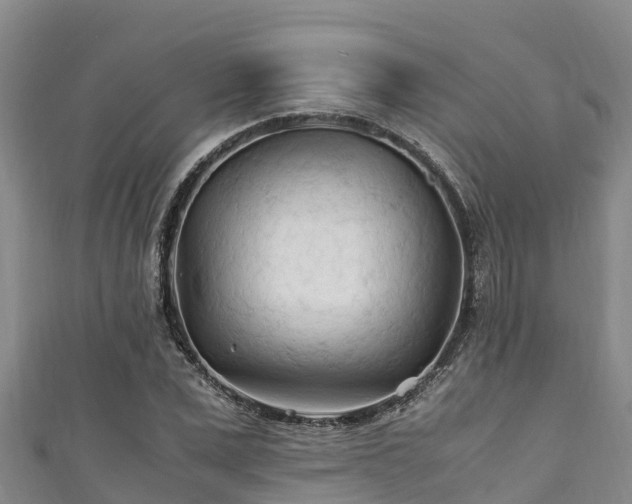 X0000111600975200907231232