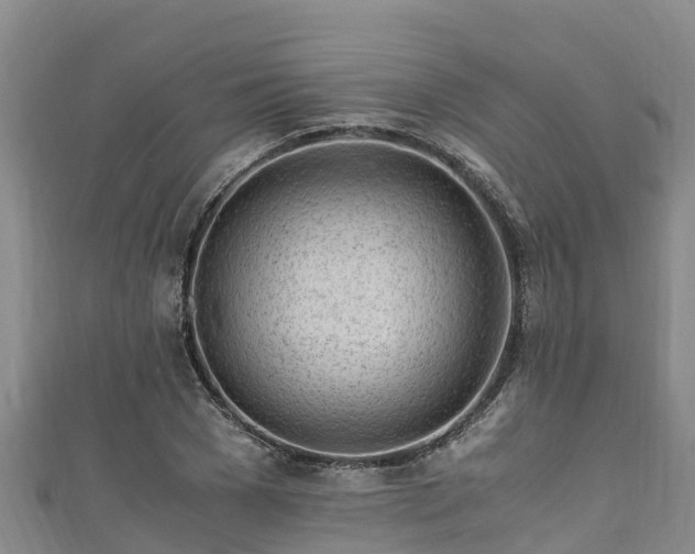 X0000111600977200907231232