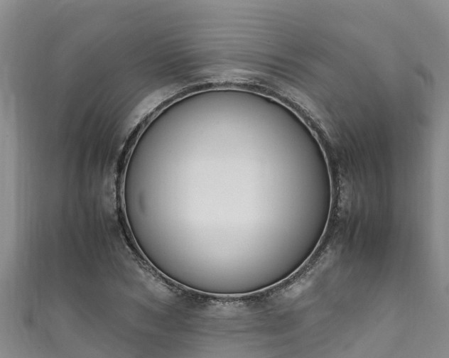 X0000111600978200907231232
