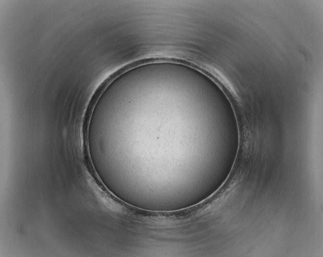 X0000111600980200907231232