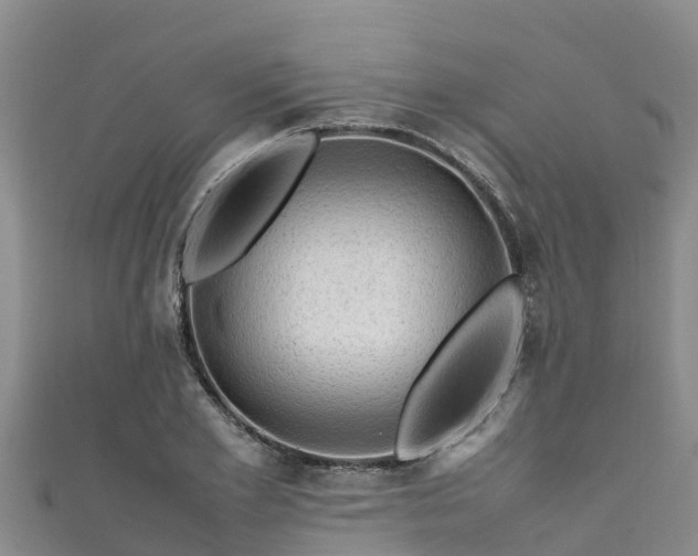 X0000111600981200907231232