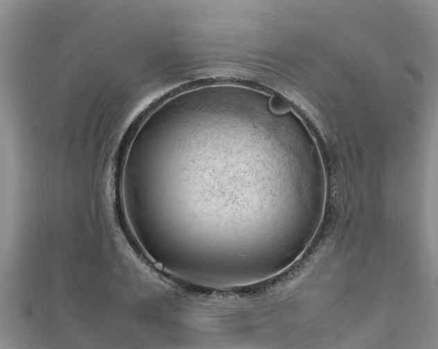 X0000111600983200907231232