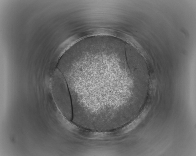 X0000111600985200907231232