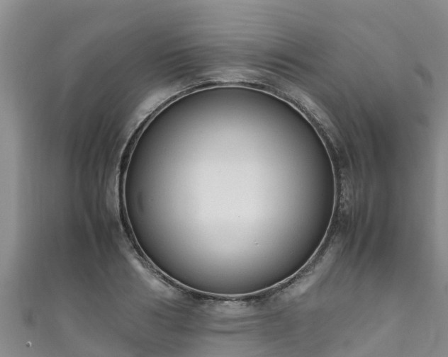 X0000111600986200907231232