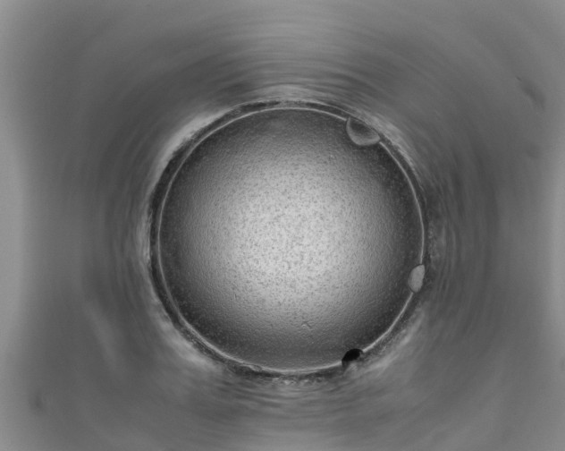 X0000111600987200907231232