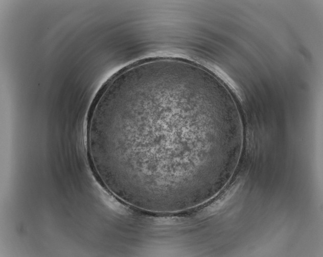 X0000111600988200907231232
