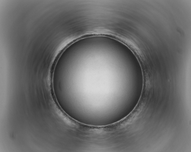 X0000111600990200907231232