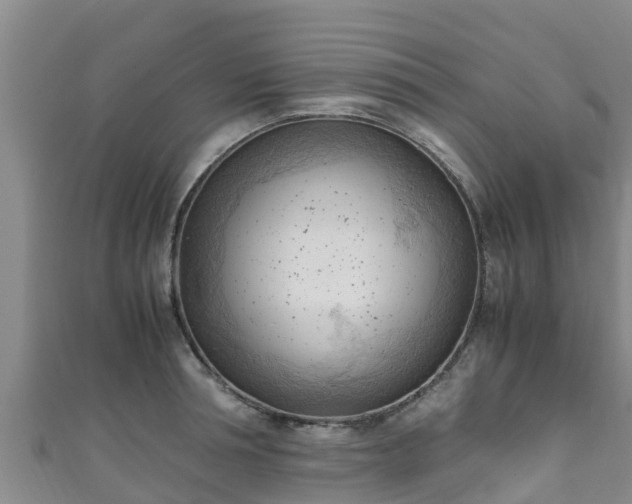 X0000111600994200907231232